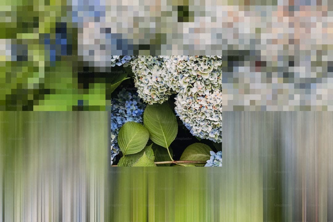 全国生态日丨云霄县开展2025年全国生态日线下宣传活动